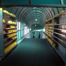 Third Tunnel of Aggression