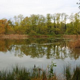 Lagoni di Mercurago Natural Park