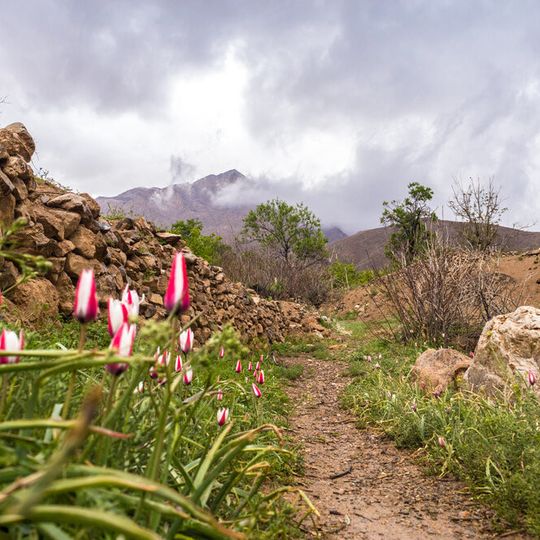 Shahrestān di Saduq