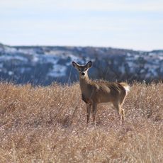 Karl E. Mundt National Wildlife Refuge