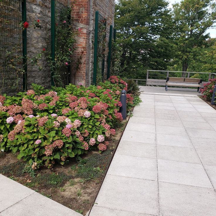 Jardin J. Bucciali