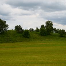 Paliūnų piliakalnis