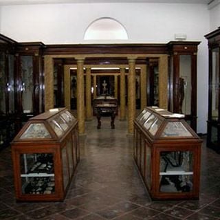 Museo di anatomia di Modena