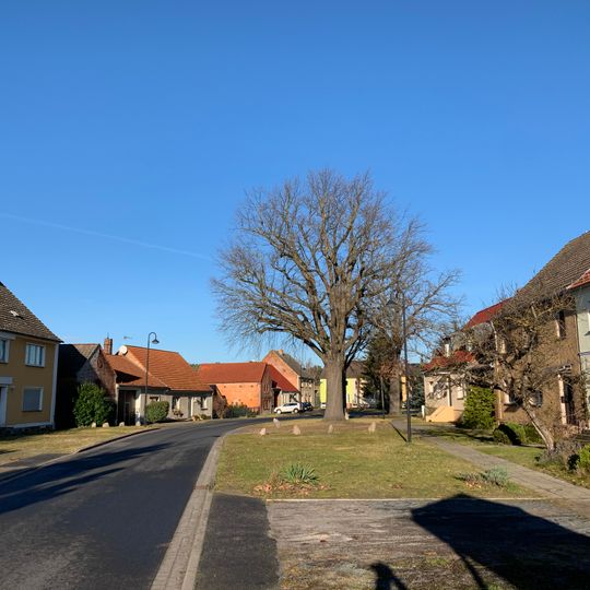 Naturdenkmal Eiche Ortsmitte; Flur 2, Flurstück 161 in Nettgendorf