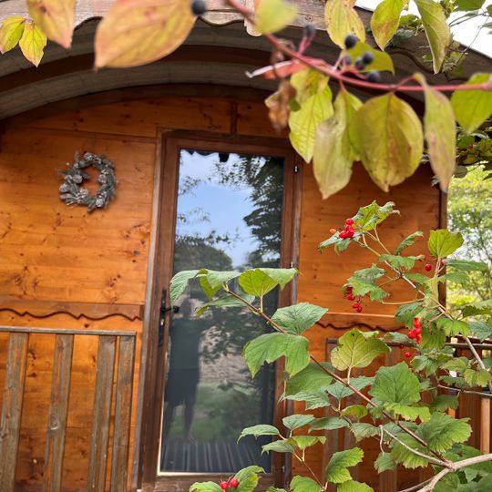 Camping Saint-Martin