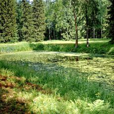 Фонтанный пруд (Павловск)