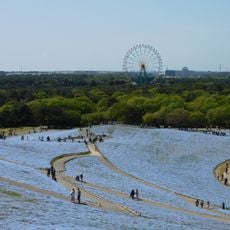 Hitachi Seaside Park