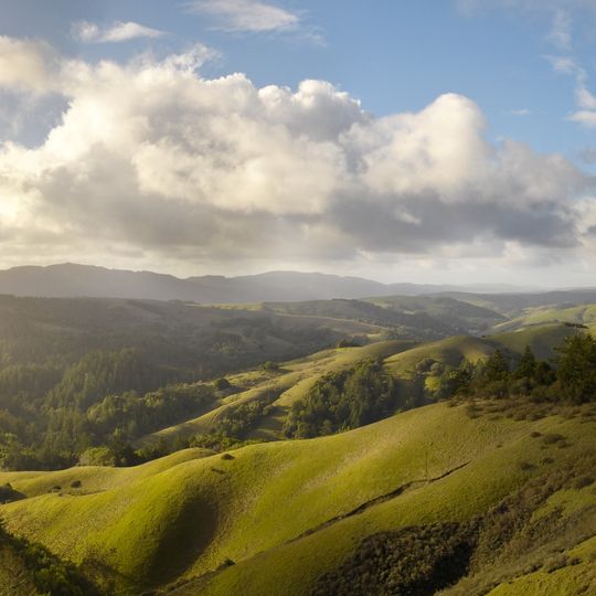 Samuel P. Taylor State Park