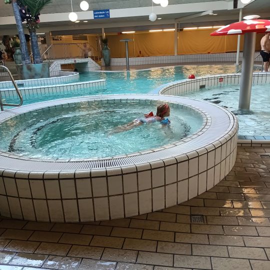 Omnium Goes Tropisch bos