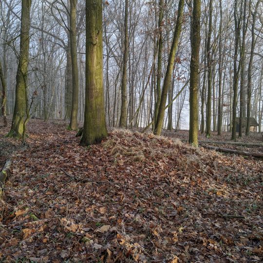 Polní opevnění postavení děl z války 1866