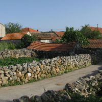 Žedno