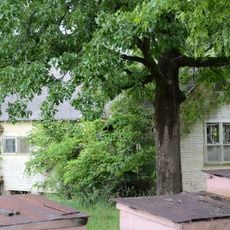 Cafeteria Building-Cleveland School