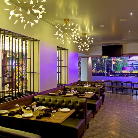 Vividh NX Bar & Cafe Modern World Cuisine