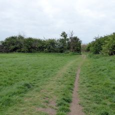 Crowfields Common