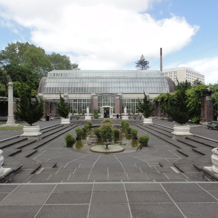 Auckland Domain Winter Gardens