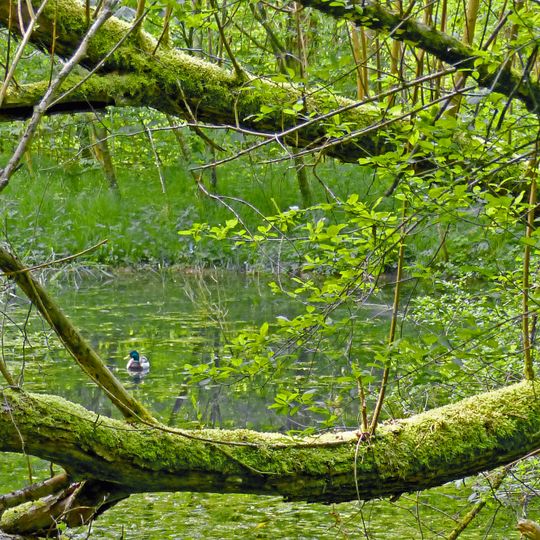 LSG 'Schurwaldrand Altbach-Plochingen-Reichenbach' vom 20.03.1987