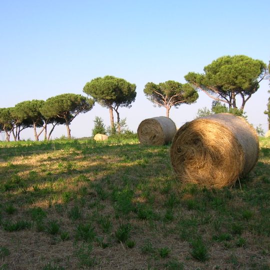 Parco regionale di Veio