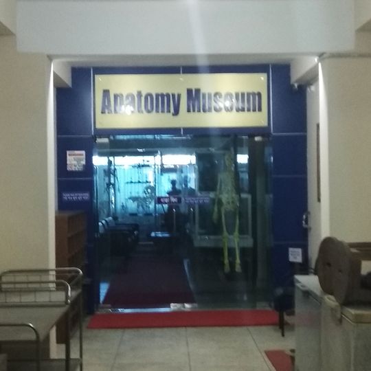 Anatomy Museum, CVASU