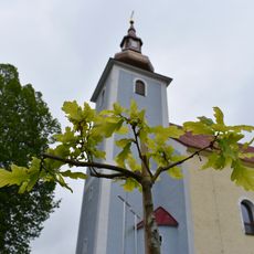 COVID-19 Tree of Peace