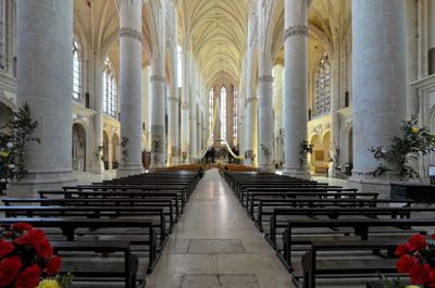 Interior 4