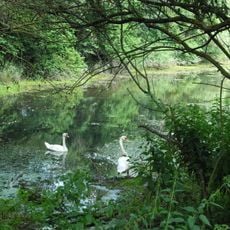 Naturschutzgebiet Fuldatal bei Konnefeld