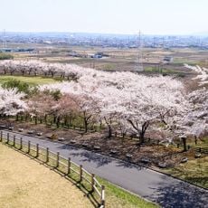 南部山健康運動公園