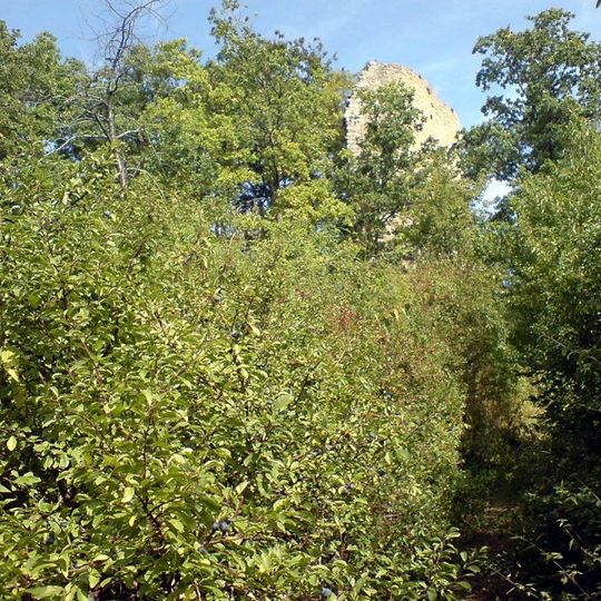 Burgruine Siegenstein