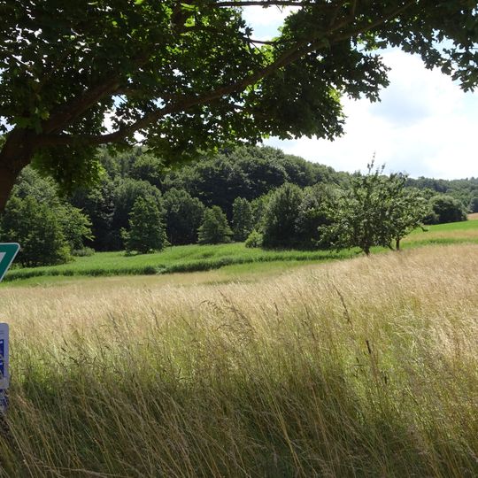 Stollwiese bei Erzbach