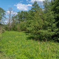 Mainaltarm bei Dörfleins