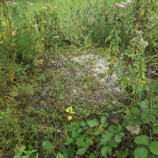 Kalvária, kaplnka krížovej cesty