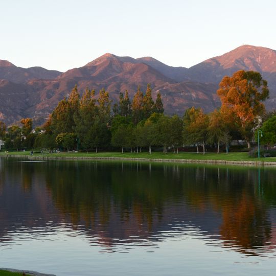 Saddleback