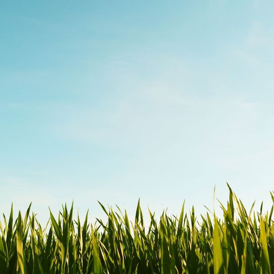 Golf Nature Champs-Romain