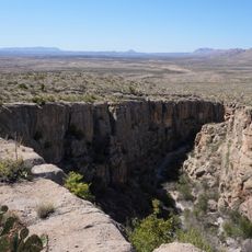 Camel Experiment Exhibit