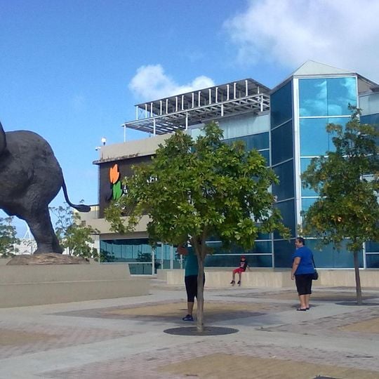 Museo de Vida Silvestre