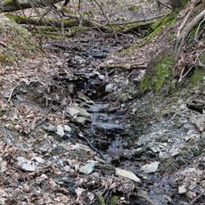 Vogeltal-Bach Taunus