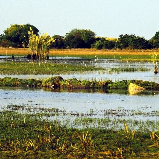 Bangweulu Wetlands