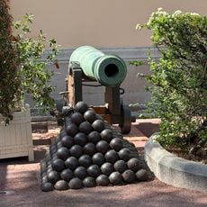 Cannon