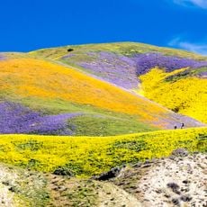 Carrizo Plain National Monument