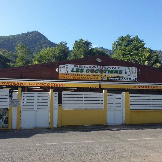 Les cocotiers