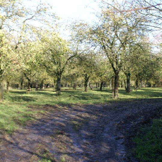 Kenn Church, Kenn Pier & Yew Tree Farm SSSI
