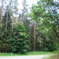 Rejon kozłoworudzki