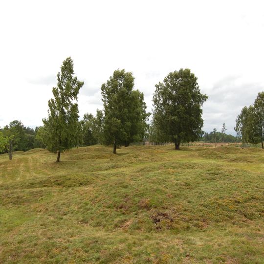 Gräberfelder von Hallsjö