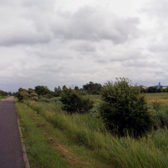 Dębogórze