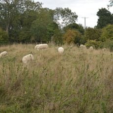 Maulden Church Meadow