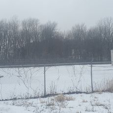 Taylor Field