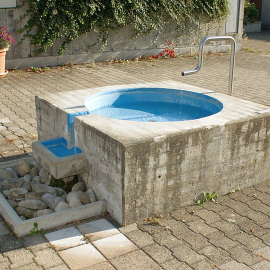 Fountain Riedernrain