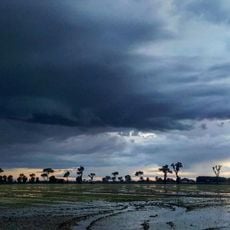 Riserva naturale Po di Volano