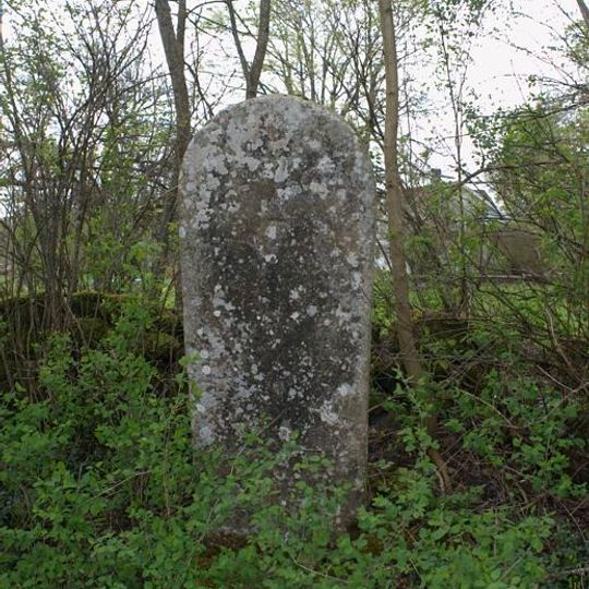 Västergötlands runinskrifter 93