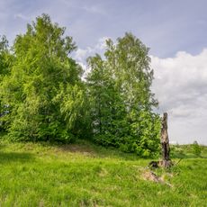 Парк (Савелово)