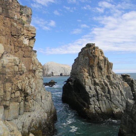 Rocas de Constitución